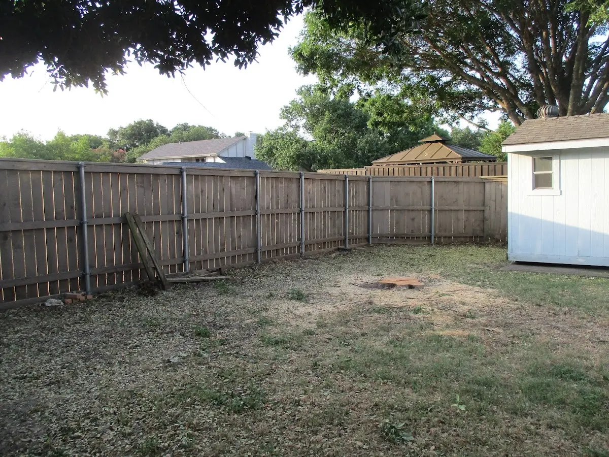 Cleared yard after professional tree removal in Rooseveltown